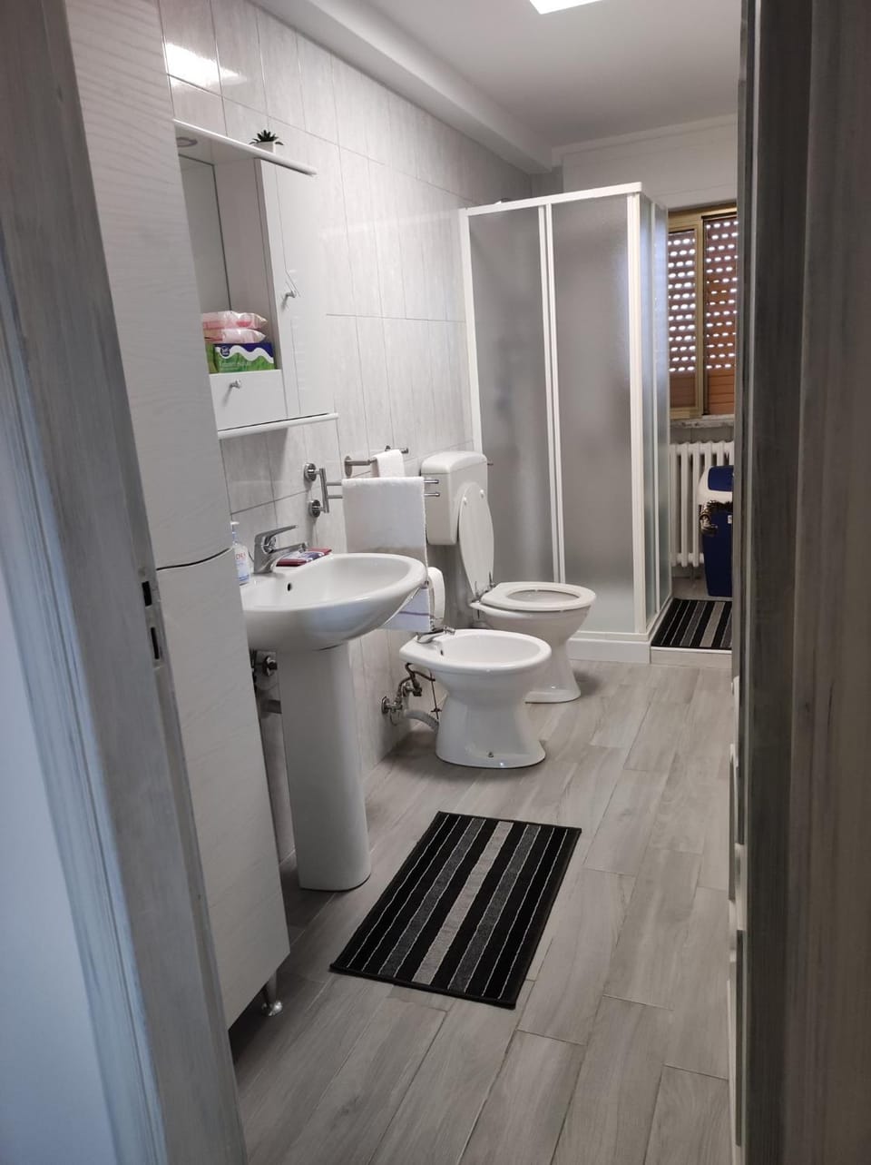 Shower, Toilet, Bathroom, bidet