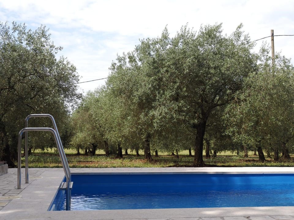 Garden, Garden, Garden view, Pool view, Swimming pool