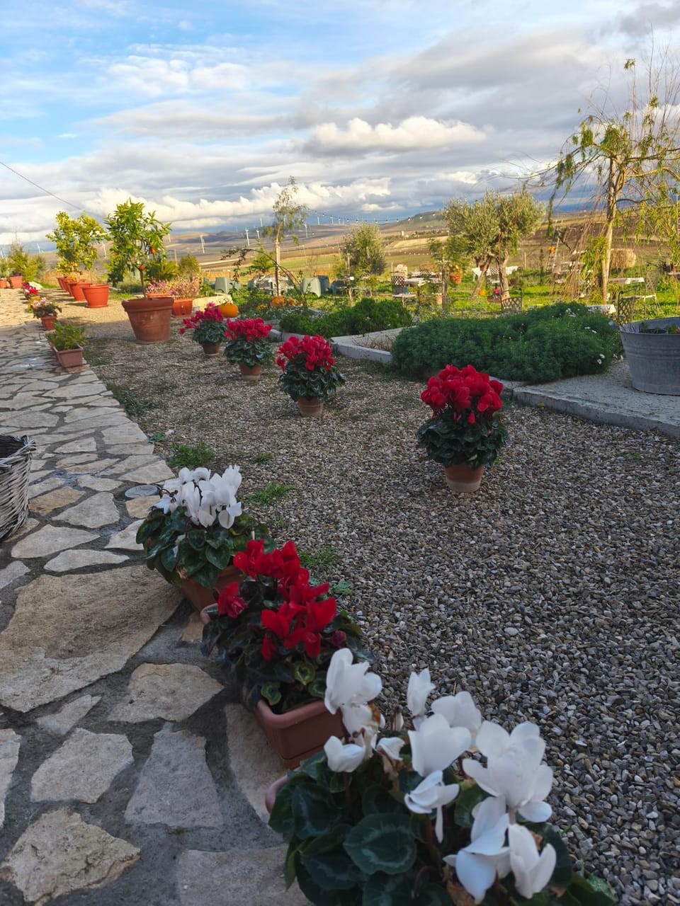 Antica Masseria Il Casone Bed and Breakfast in Province of Foggia