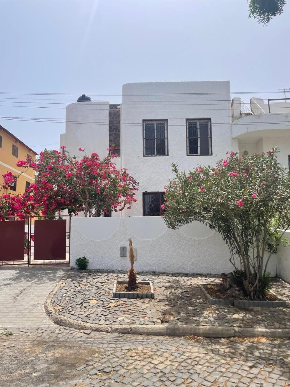 Property building, Spring, Day, Garden, Garden view