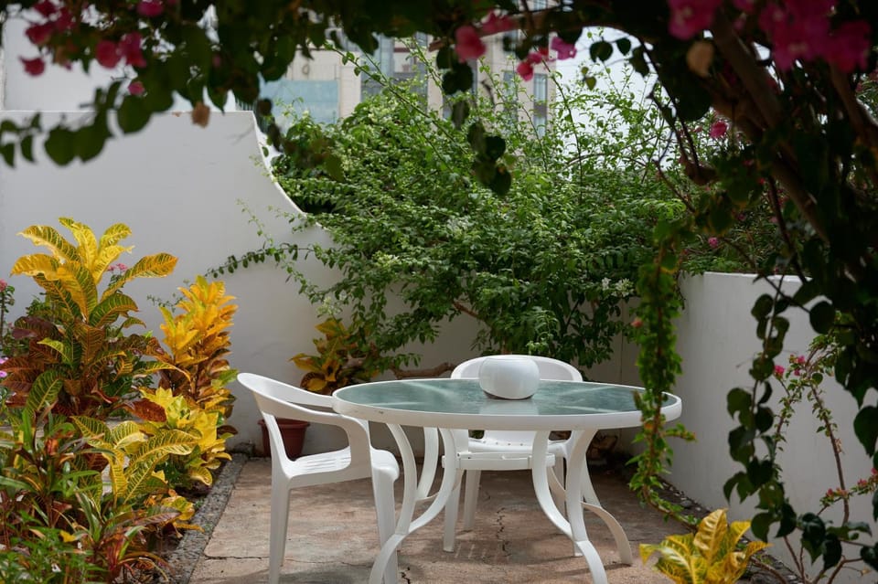 Patio, Spring, Day, Garden, Seating area, Dining area, Garden view