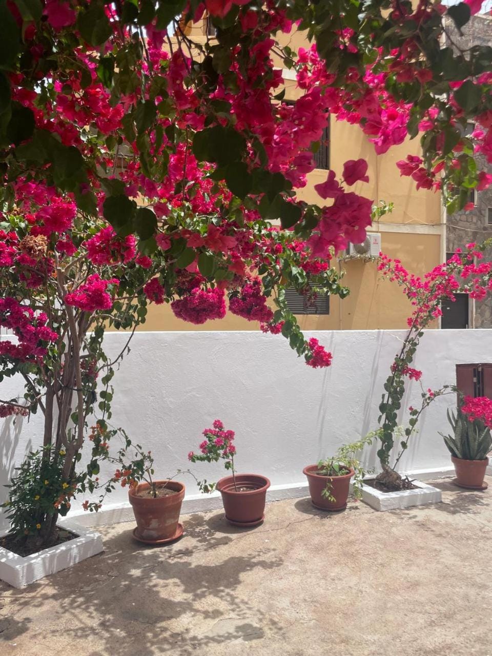 Spring, Day, Garden, Garden view