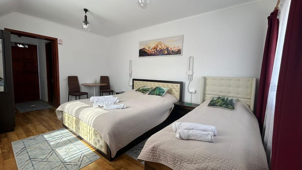 Casa cu brazi Vacation rental in Romania