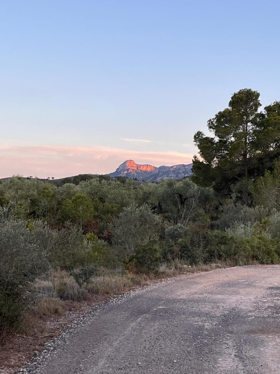 Natural landscape