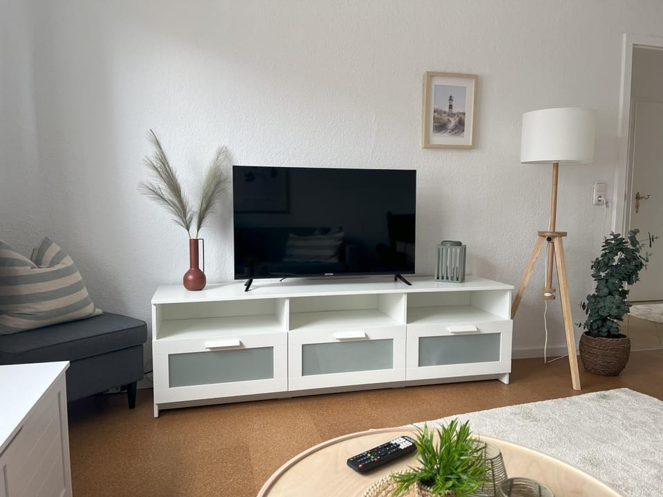 TV and multimedia