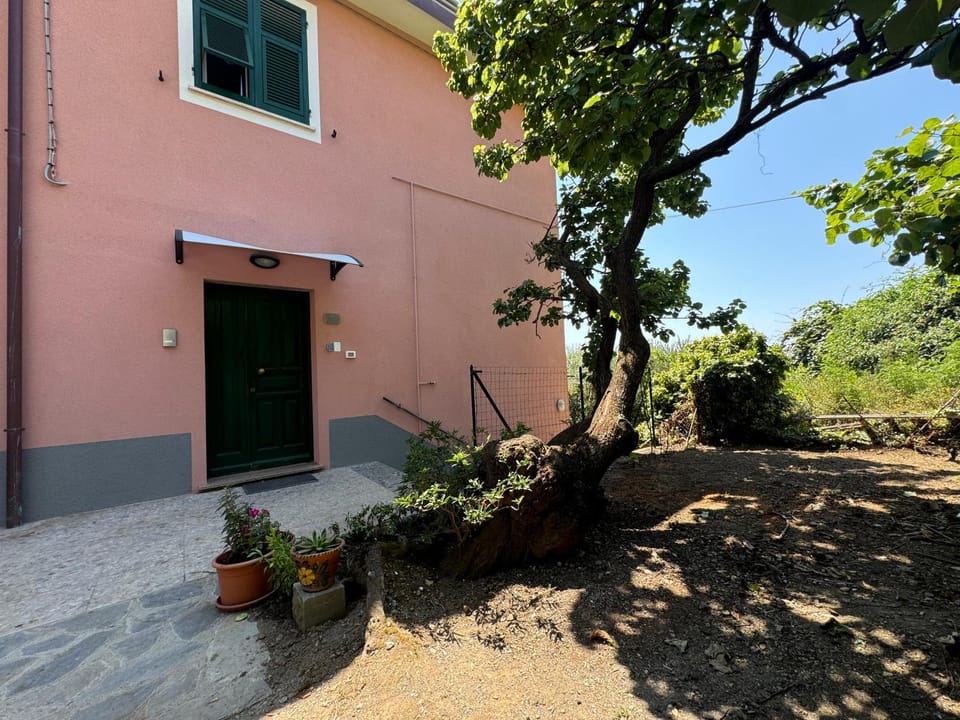 Property building, Spring, Day, Garden, Garden view