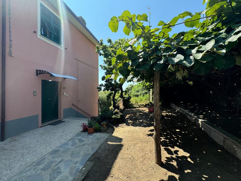 Property building, Spring, Day, Summer, Garden, Garden view