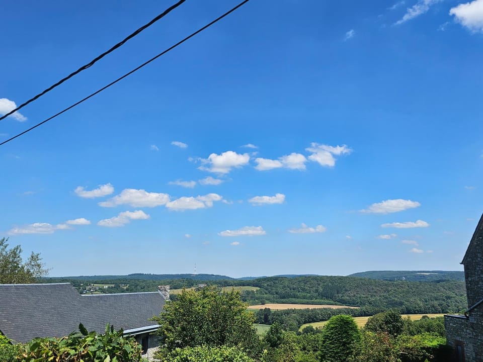 View (from property/room)