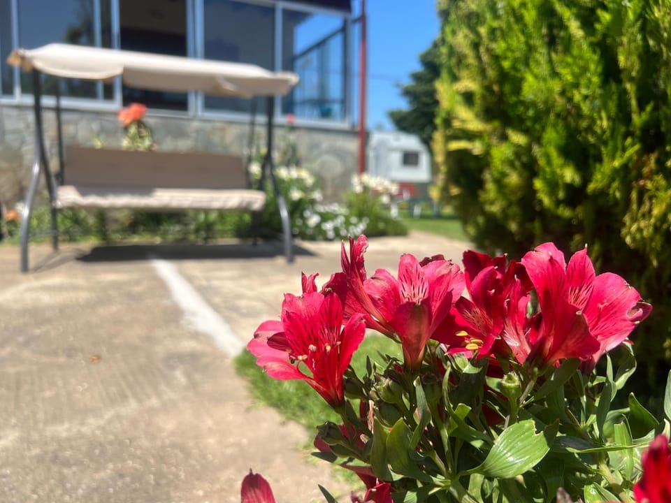Garden, Garden view