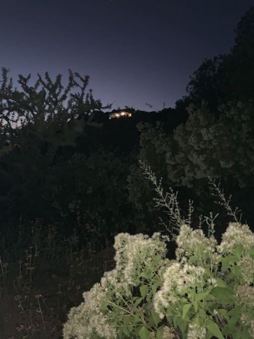 Night, Natural landscape