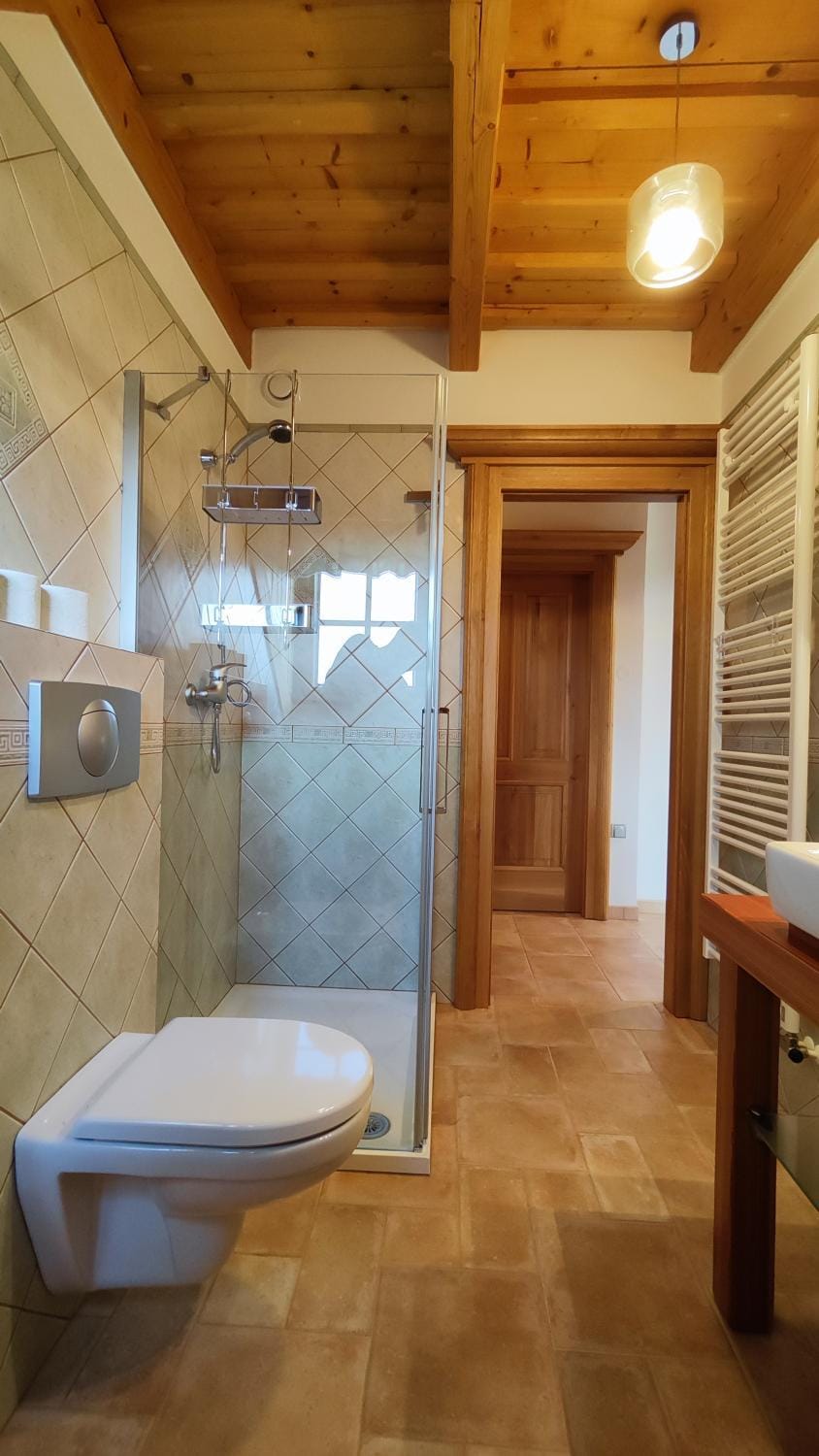 Shower, Toilet, Bathroom