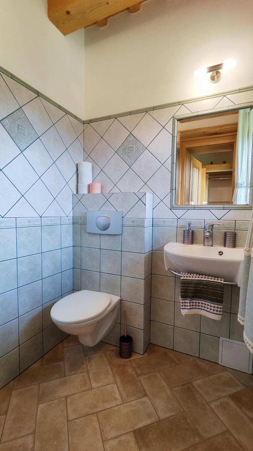Toilet, Bathroom