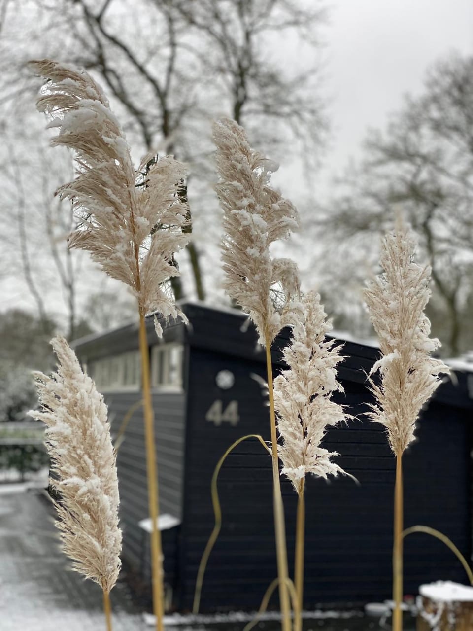 'T Veluwse Boshuus chalet 44 Chalet in Overijssel (province)