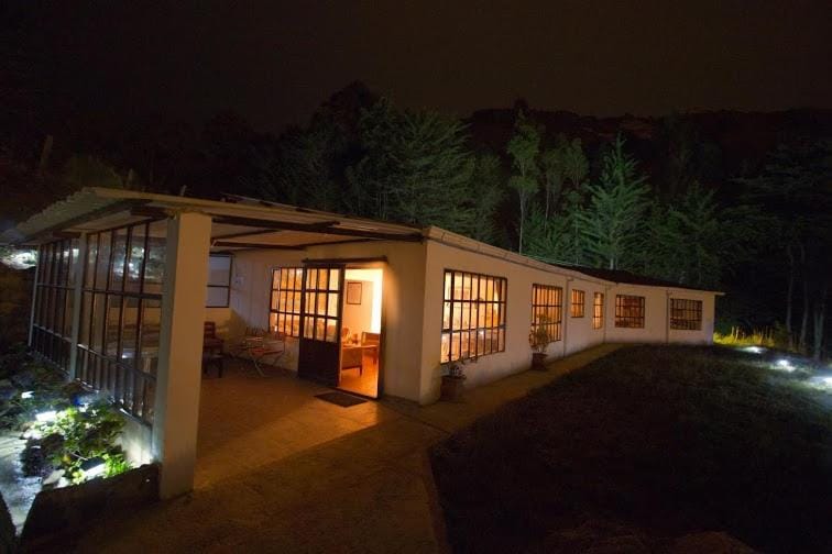 Night, Natural landscape, Garden view