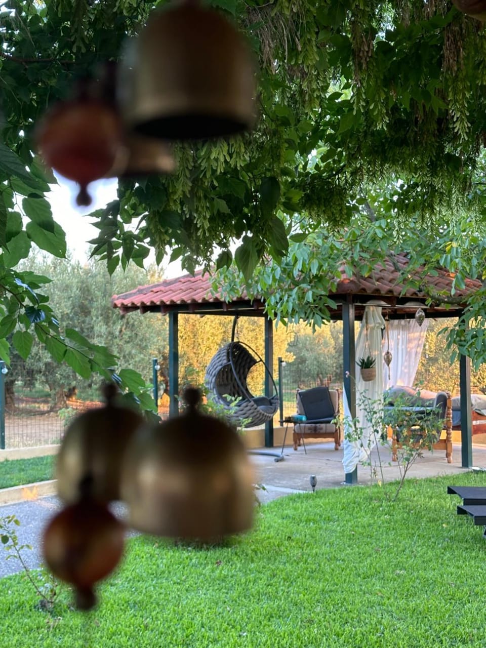 Natural landscape, Garden, Garden view