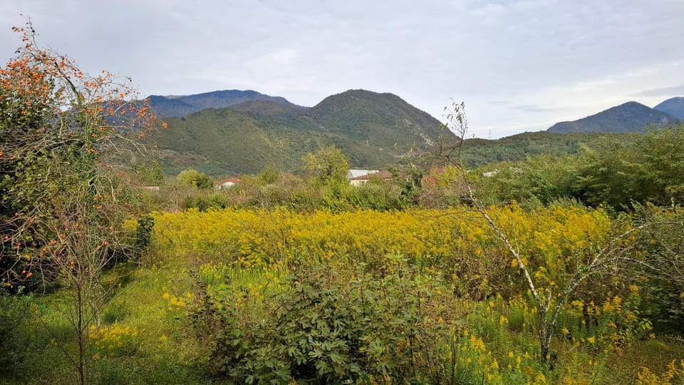 Ezo Bed and Breakfast in Georgia
