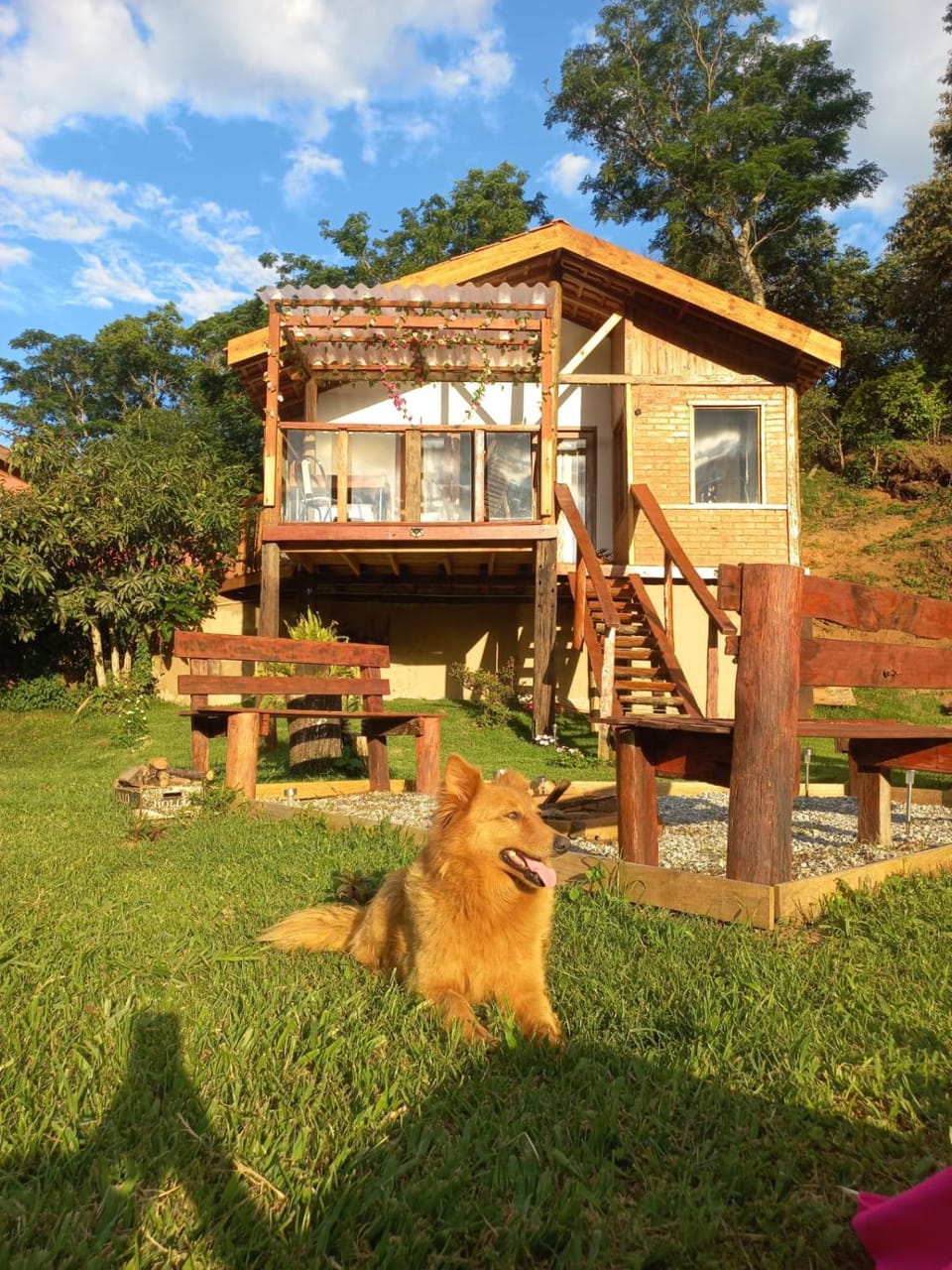 Garden, Pets