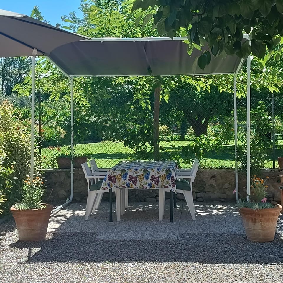 Patio, Day, Garden, Dining area, Garden view