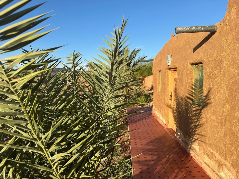 Property building, Garden, Garden view