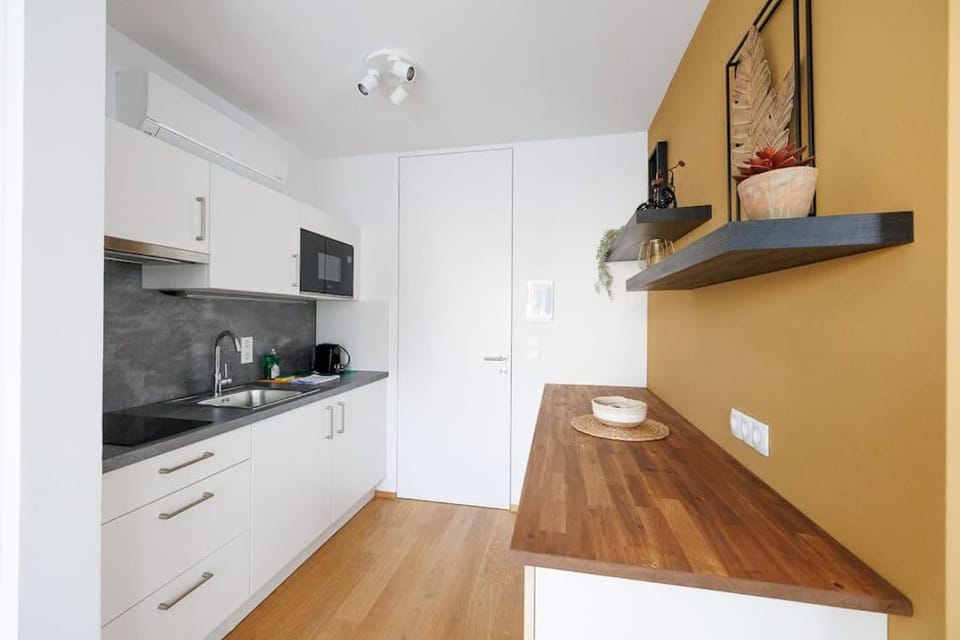 Ottakring Studio Apartment Apartment in Vienna
