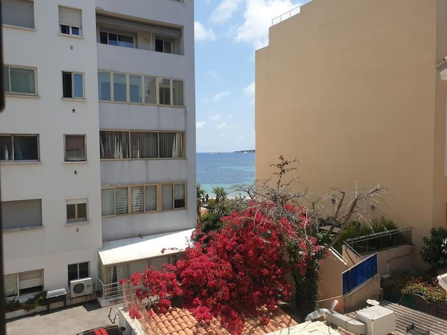 Palm Beach Soleil Apartment in Cannes