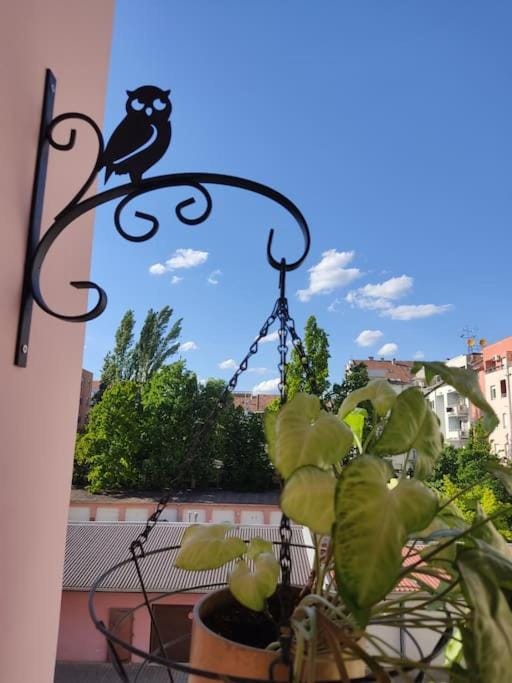 KostaStan - sa parkingom Apartment in Novi Sad