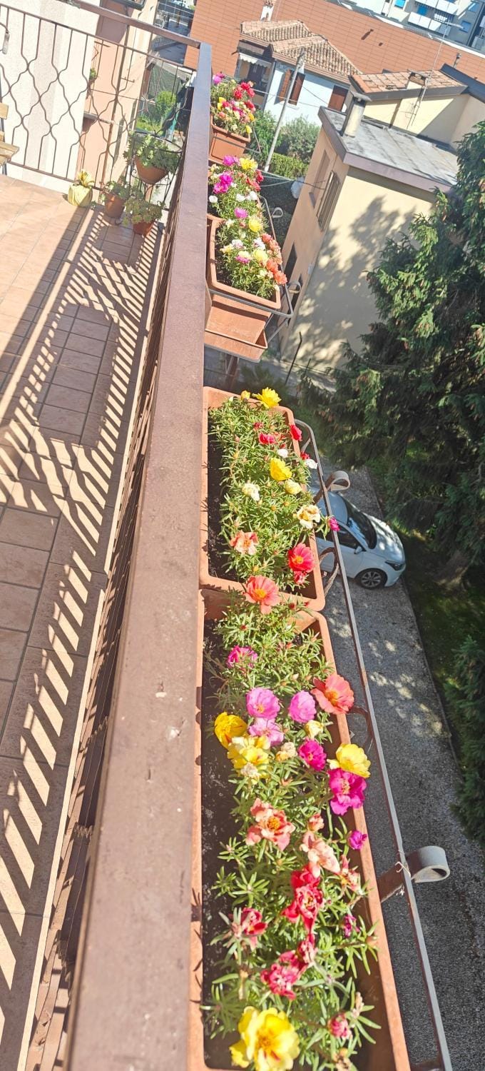 Property building, Balcony/Terrace, Garden view, Parking