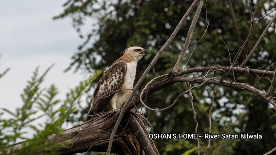Oshans Home - Guest House - Polhena Bed and Breakfast in Southern Province