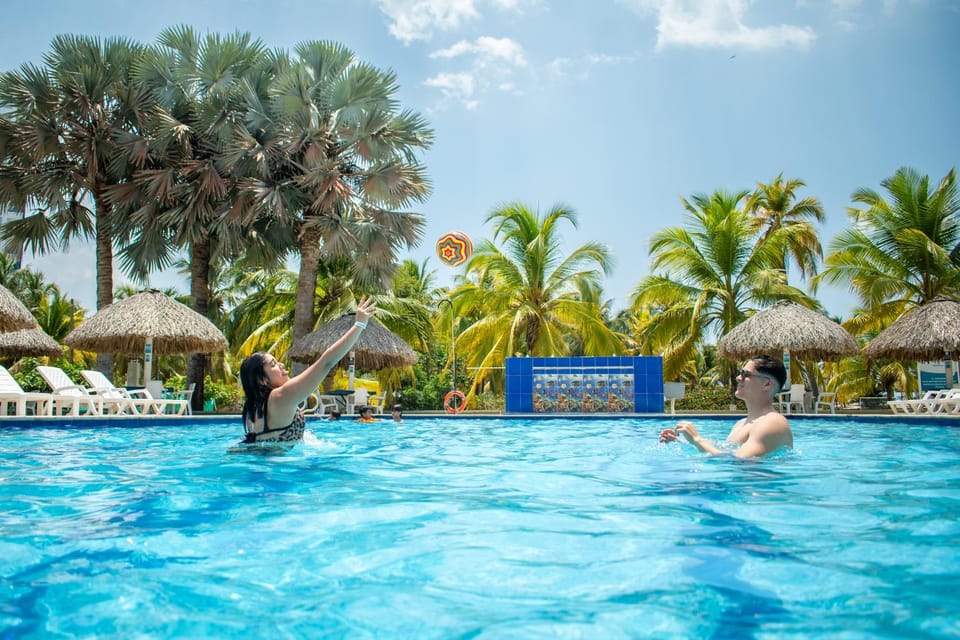 Day, People, Swimming pool, group of guests