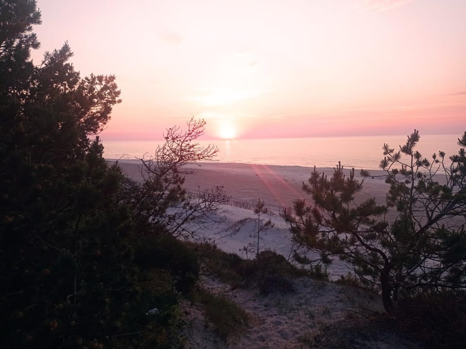 Apartament i pokoje na Sosnowej Bed and Breakfast in Pomeranian Voivodeship