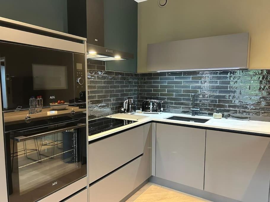Kitchen or kitchenette, dishwasher, stove