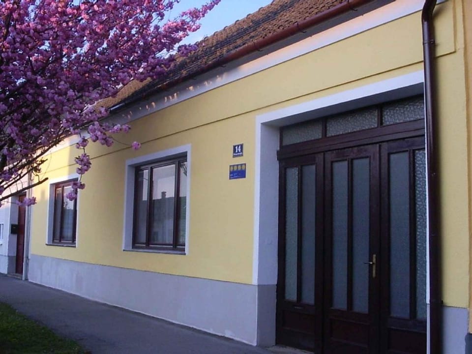 Property building, Summer