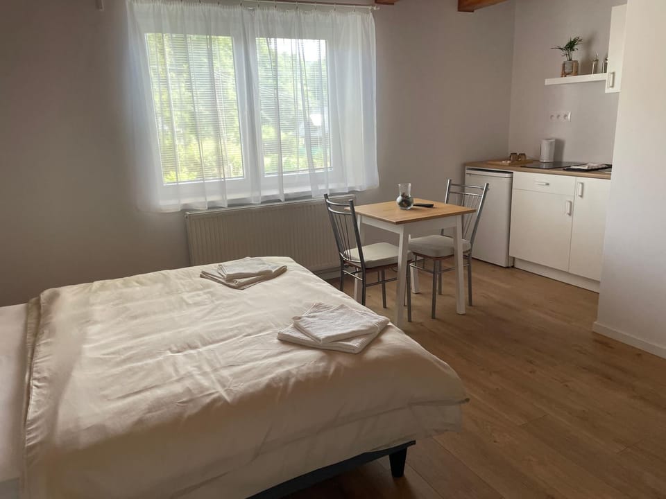 Kitchen or kitchenette, Photo of the whole room