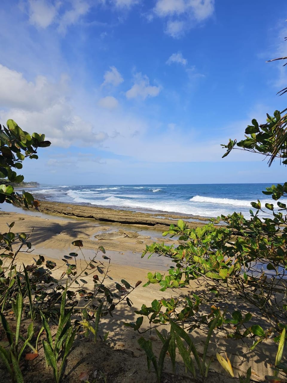 Casa de Playa Hatillo Hotel in Puerto Rico