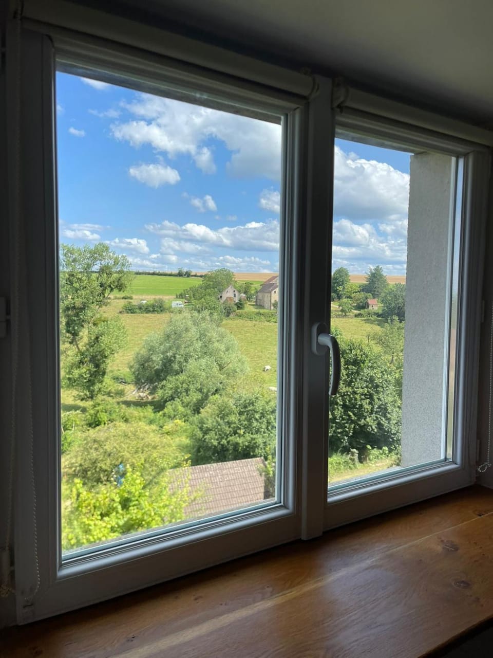 Spring, Day, Natural landscape, Garden, Garden view