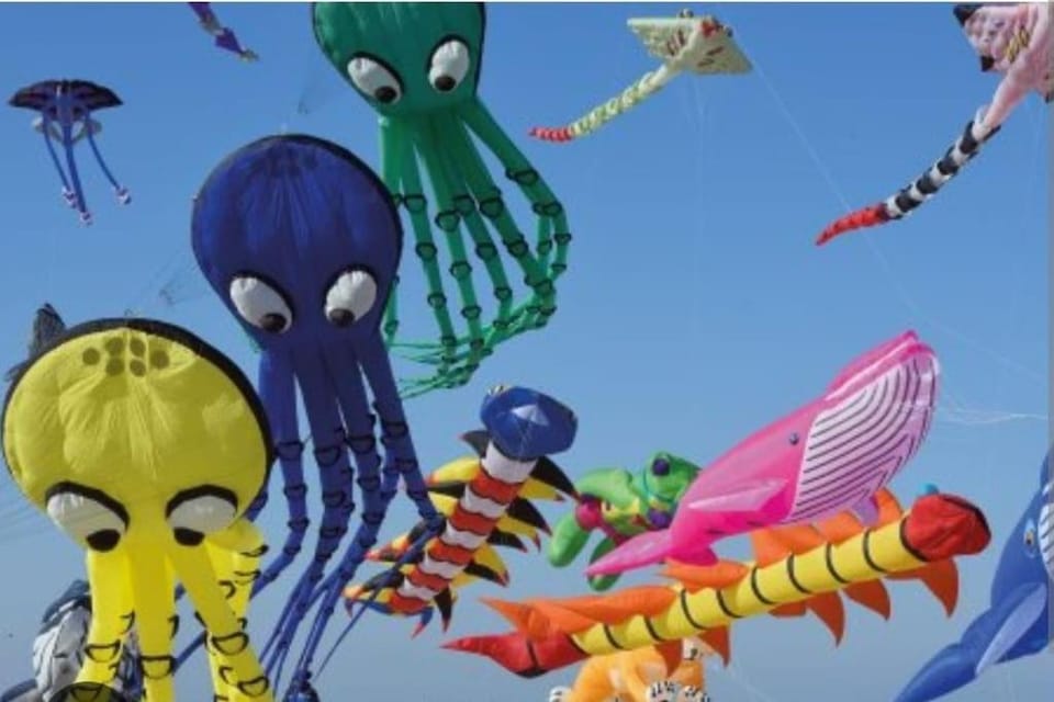 Studio, 50m de la plage, RDC Apartment in Berck