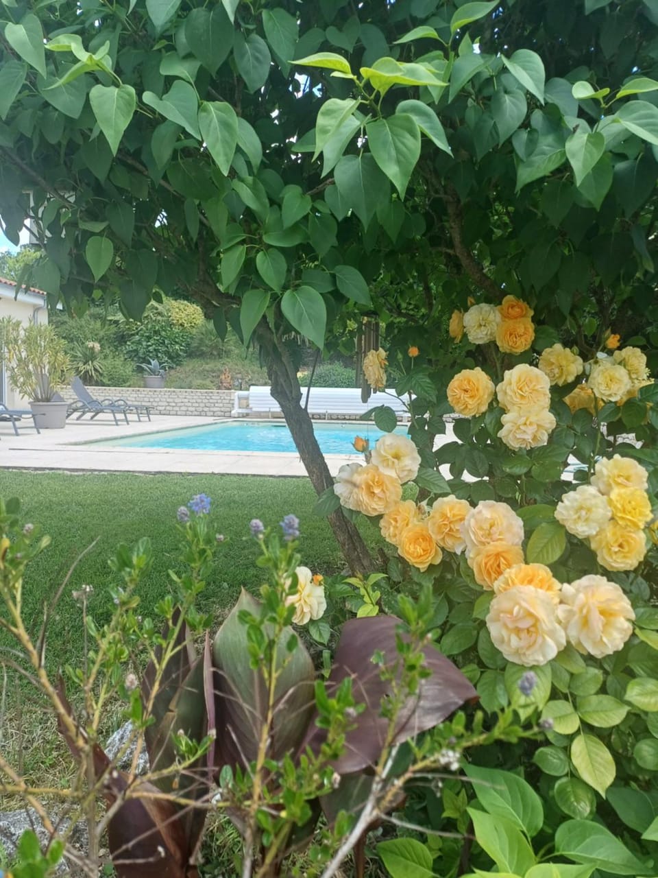 La Belle Étape House in Nouvelle-Aquitaine
