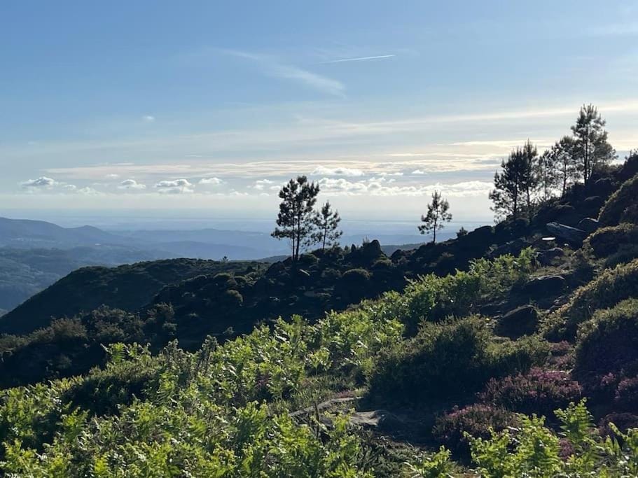 Hiking