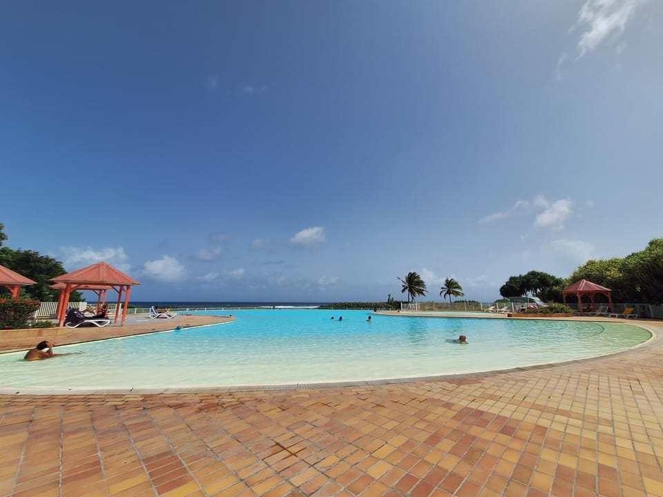 Swimming pool, sunbed