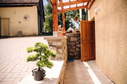Penzion BAVI Apartment in South Moravian Region