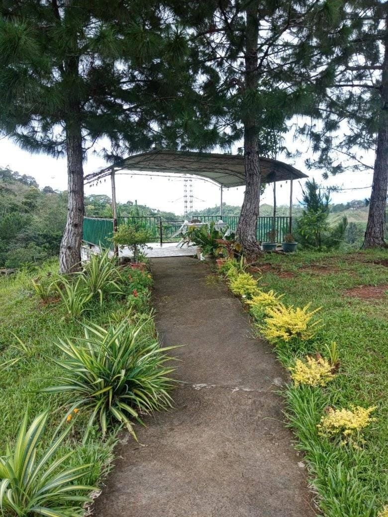 Natural landscape, Garden