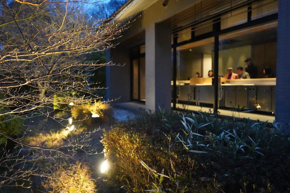 Night, Garden view