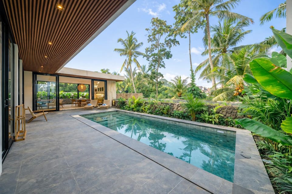 Patio, Swimming pool, Swimming pool, sunbed