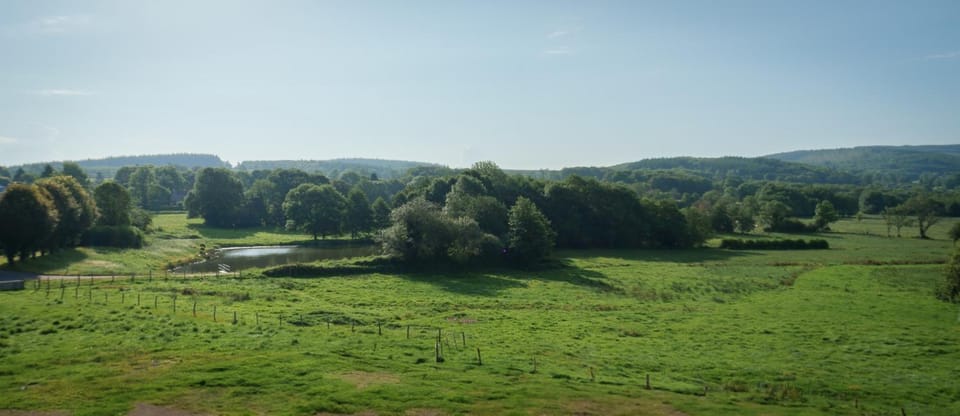 Natural landscape