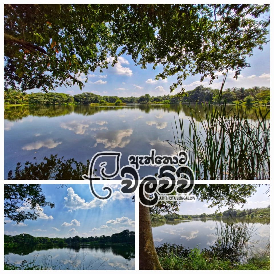 Natural landscape, Lake view
