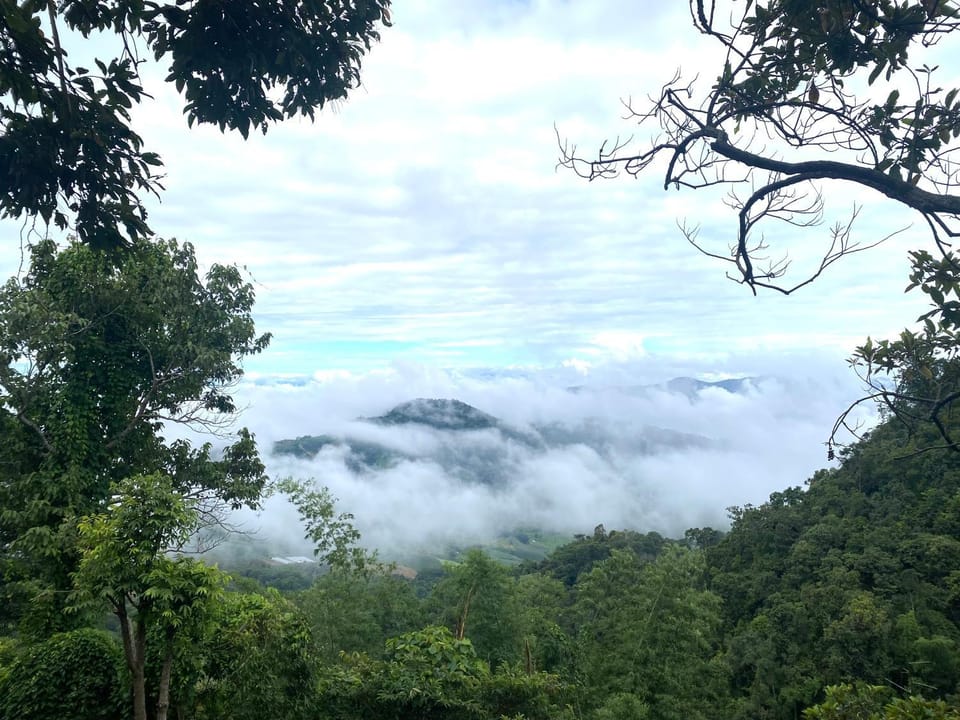 One villa coffee farm stay 2 Villa in Thailand