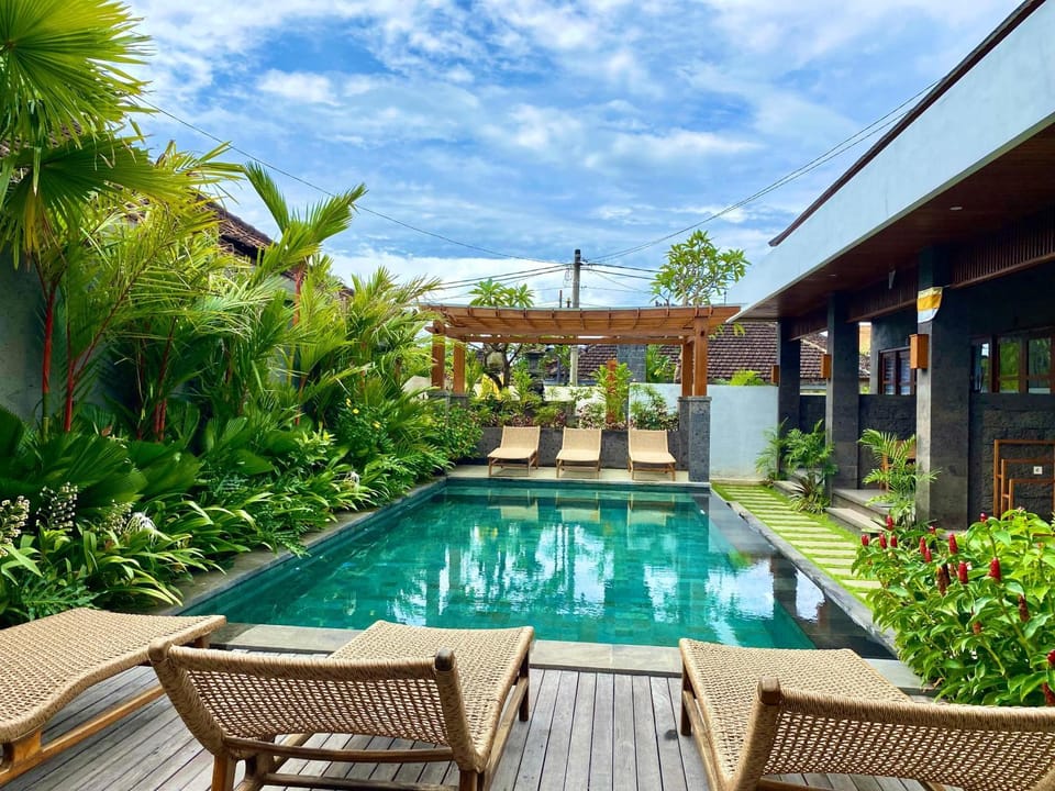 Garden view, Swimming pool, sunbed