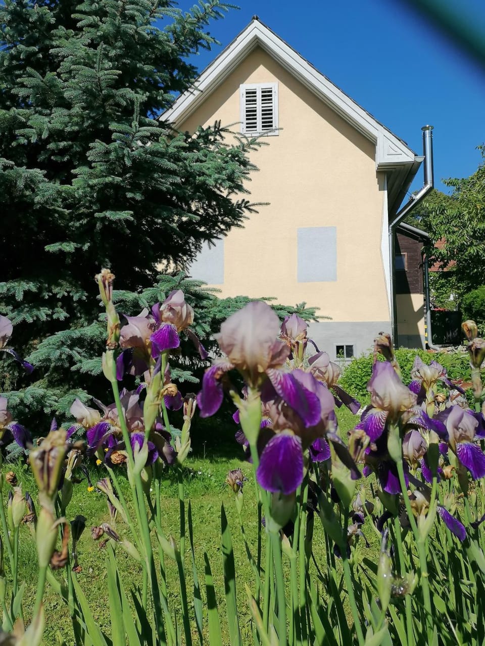 Day, Garden