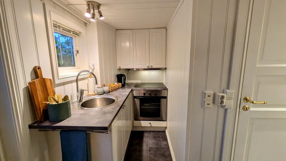 Kitchen or kitchenette, oven, stove