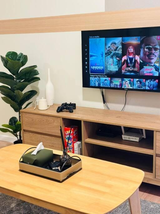 TV and multimedia